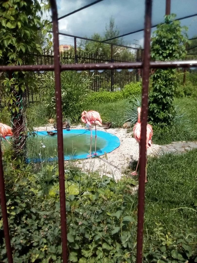Летний клуб 2018 — вторая смена — фото 10